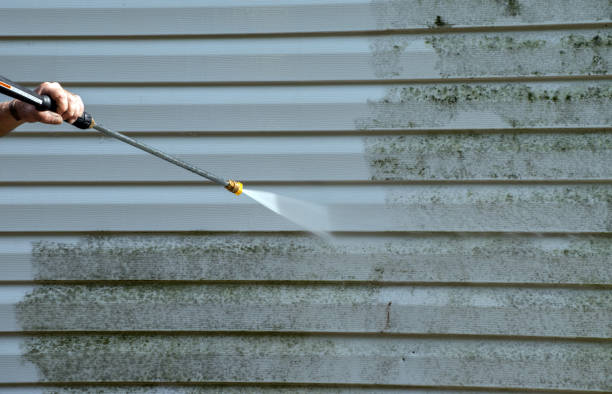 Best Deck Cleaning Services  in Leslie, MI