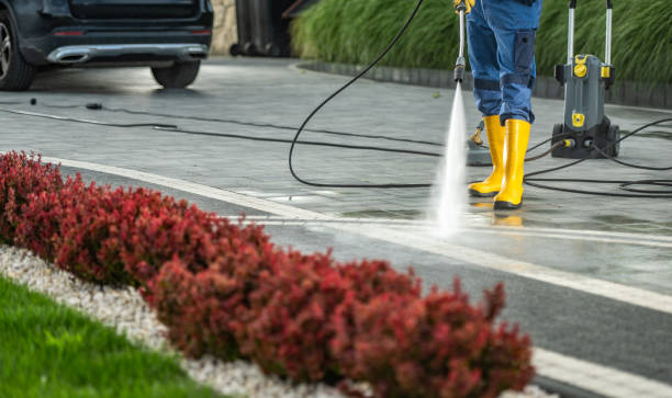 Best Pressure Washing Near Me  in Leslie, MI